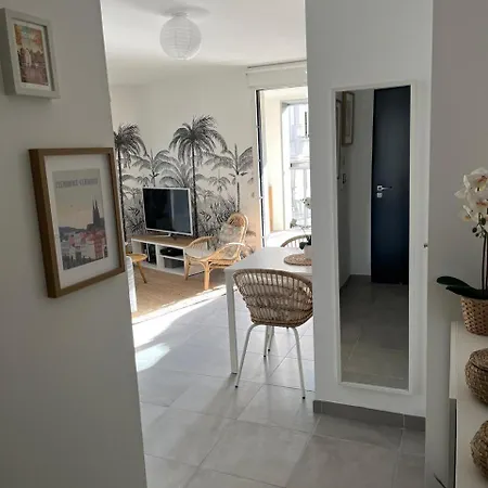 Les Allees Blatin 4 Pers * Clermont-Ferrand